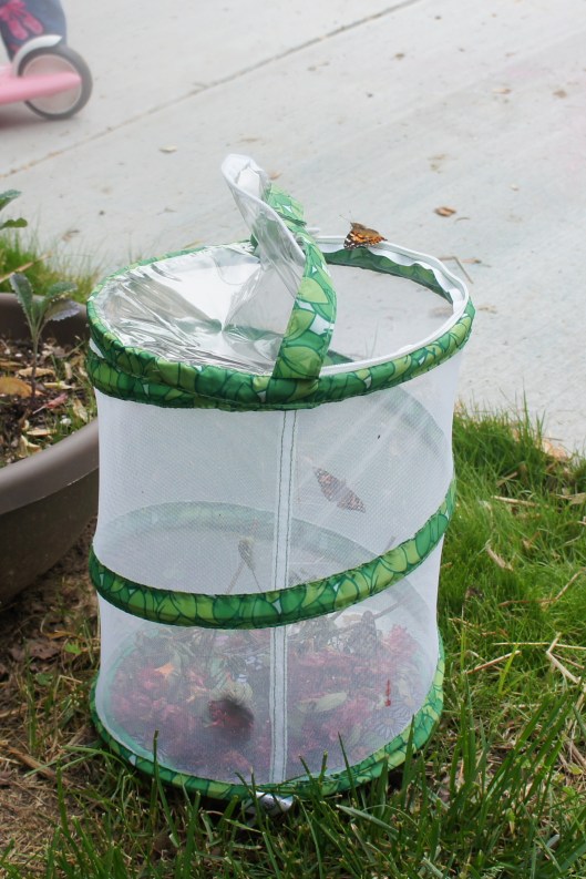 ???????????????????????????????