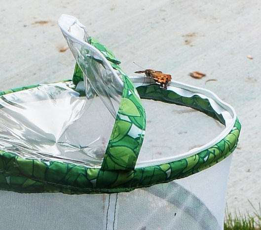 ???????????????????????????????