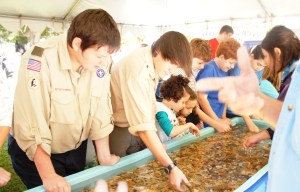 ???????????????????????????????