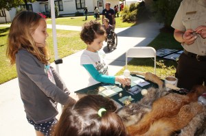 ???????????????????????????????