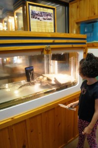 ???????????????????????????????