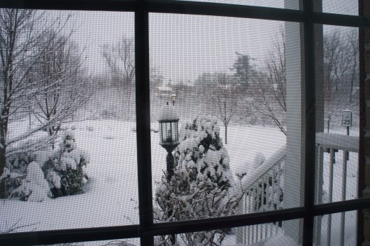 ???????????????????????????????